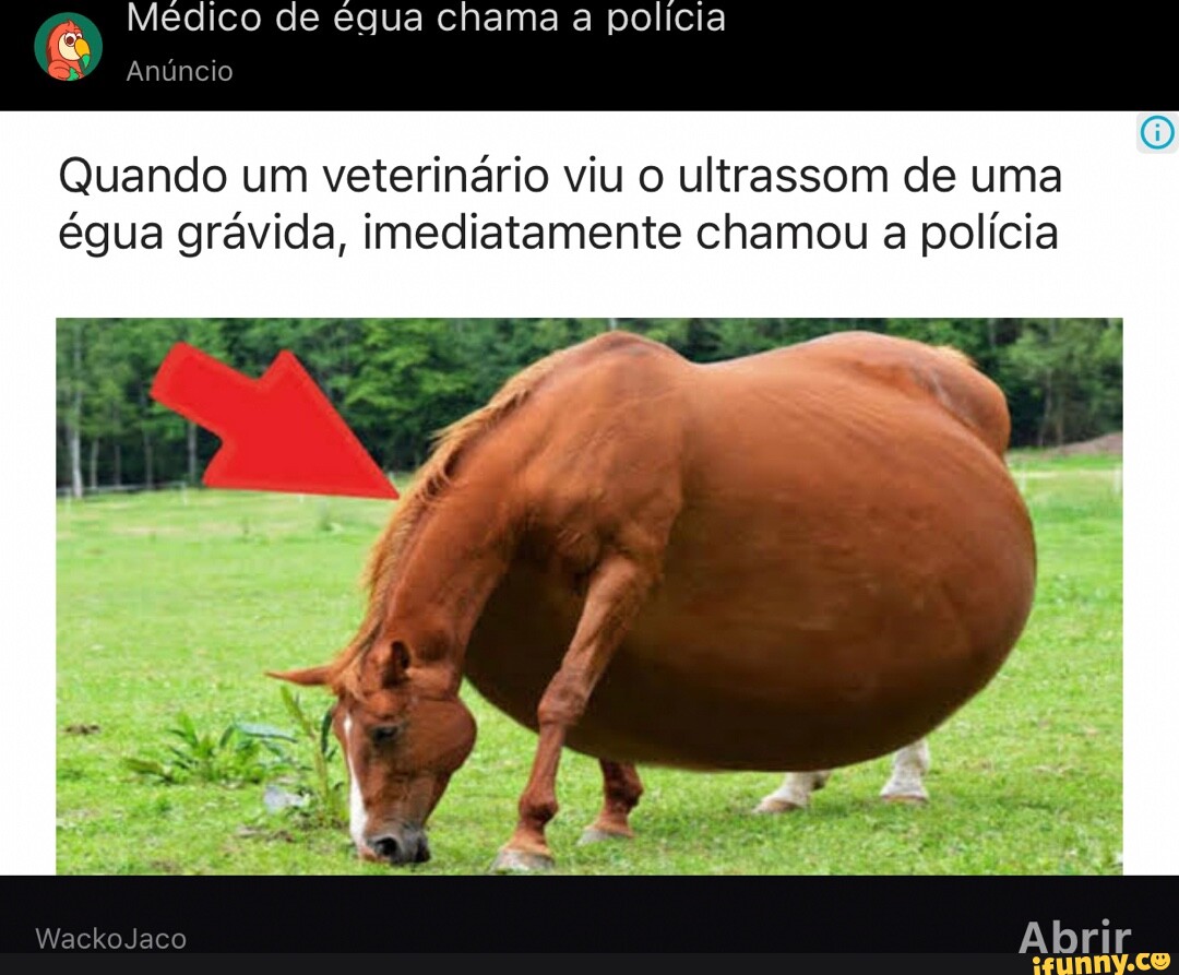 Memes da Vida (Qmemesdavidaofe Minha cabeça o dia todo: Que isso meu filho  calma Ele goooosta CAVALO (Qmemesdavida.ofe - iFunny Brazil