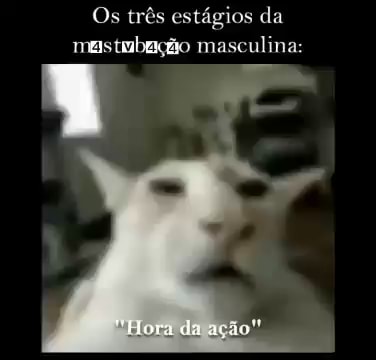 Memes de imagem Rx3uLTgg8 por Lizardon150: 3 comentários - iFunny Brazil