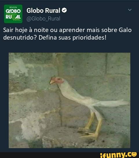 Globo Rural (@Globo_Rural) / X