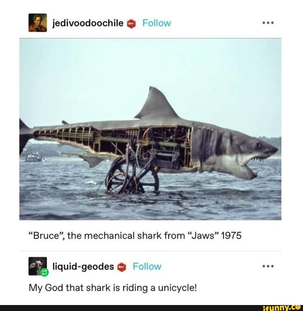 Jedivoodoochile @ Follow eee Bruce, the mechanical shark from Jaws 1975  liquid-geodes Follow My God that shark is riding a unicycle! - iFunny Brazil