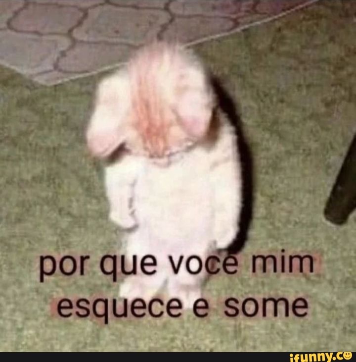 Screaming Cat faleceu, o gatinho que ficou famoso por gritar / chorar em  memes - iFunny Brazil