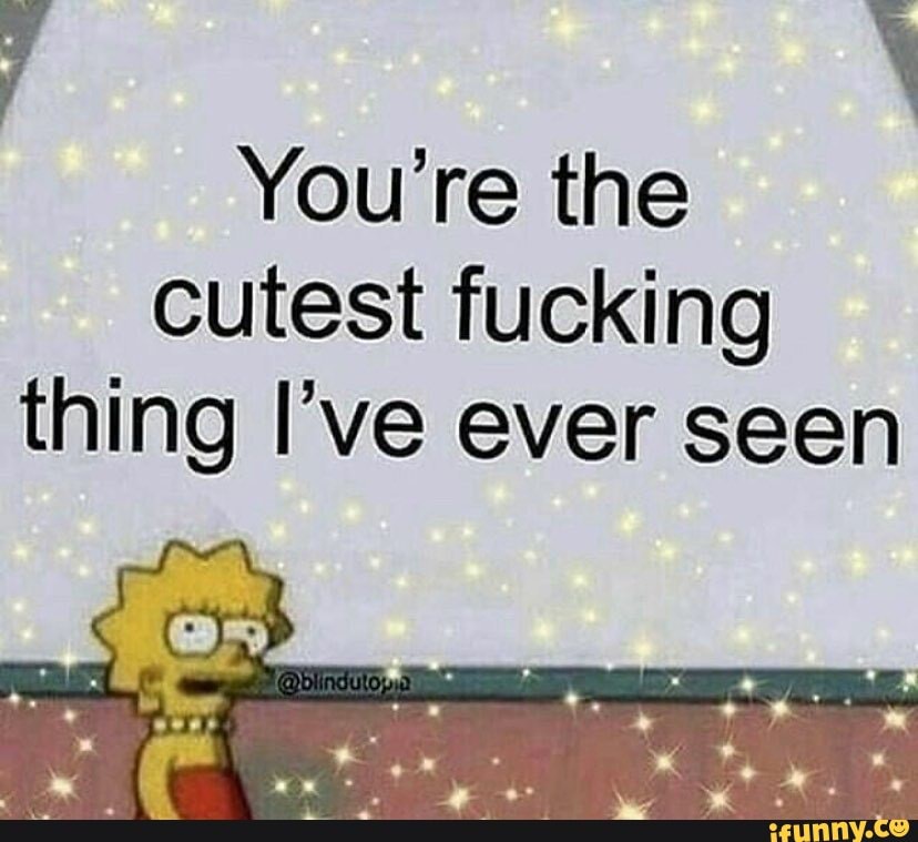 Thats The Cutest Fucking Thing Ive Ever Seen You're the cutest fucking thing I've ever seen - iFunny Brazil