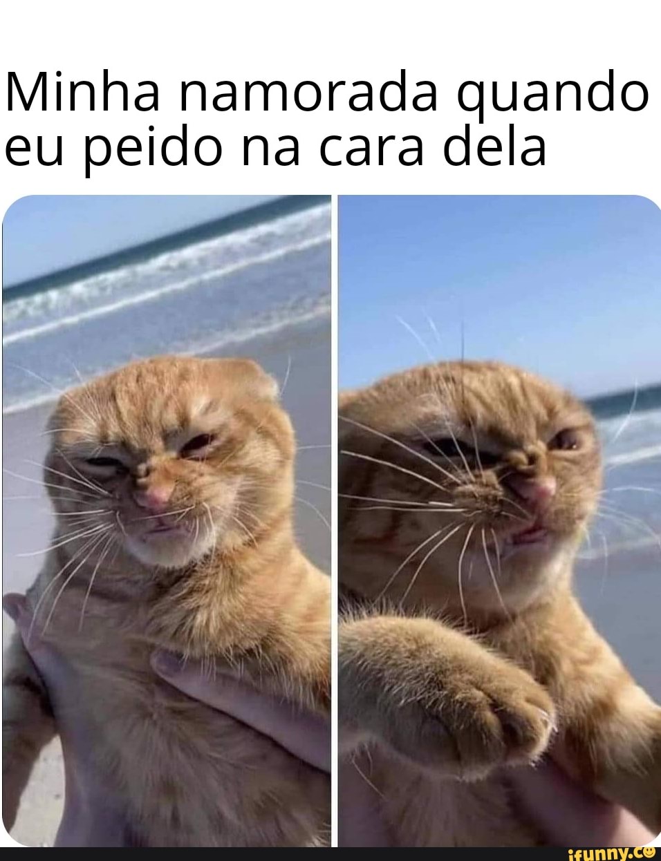 Minha namorada quando eu peido na cara dela - iFunny Brazil