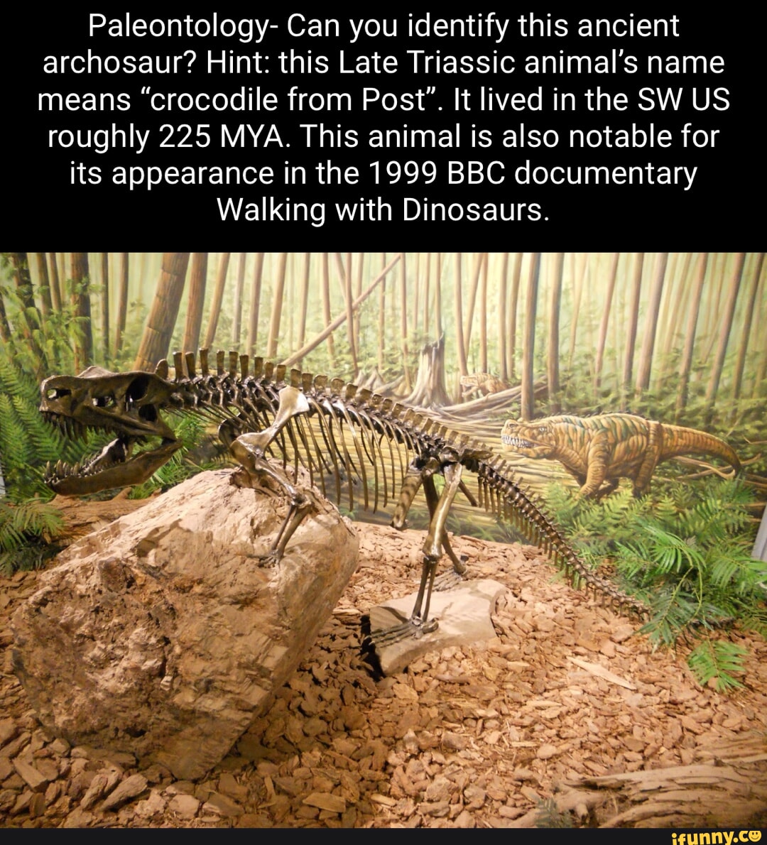 Paleontology- Can you identify this ancient archosaur? Hint: this Late ...