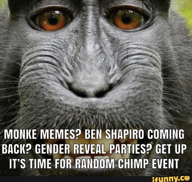 monke Memes