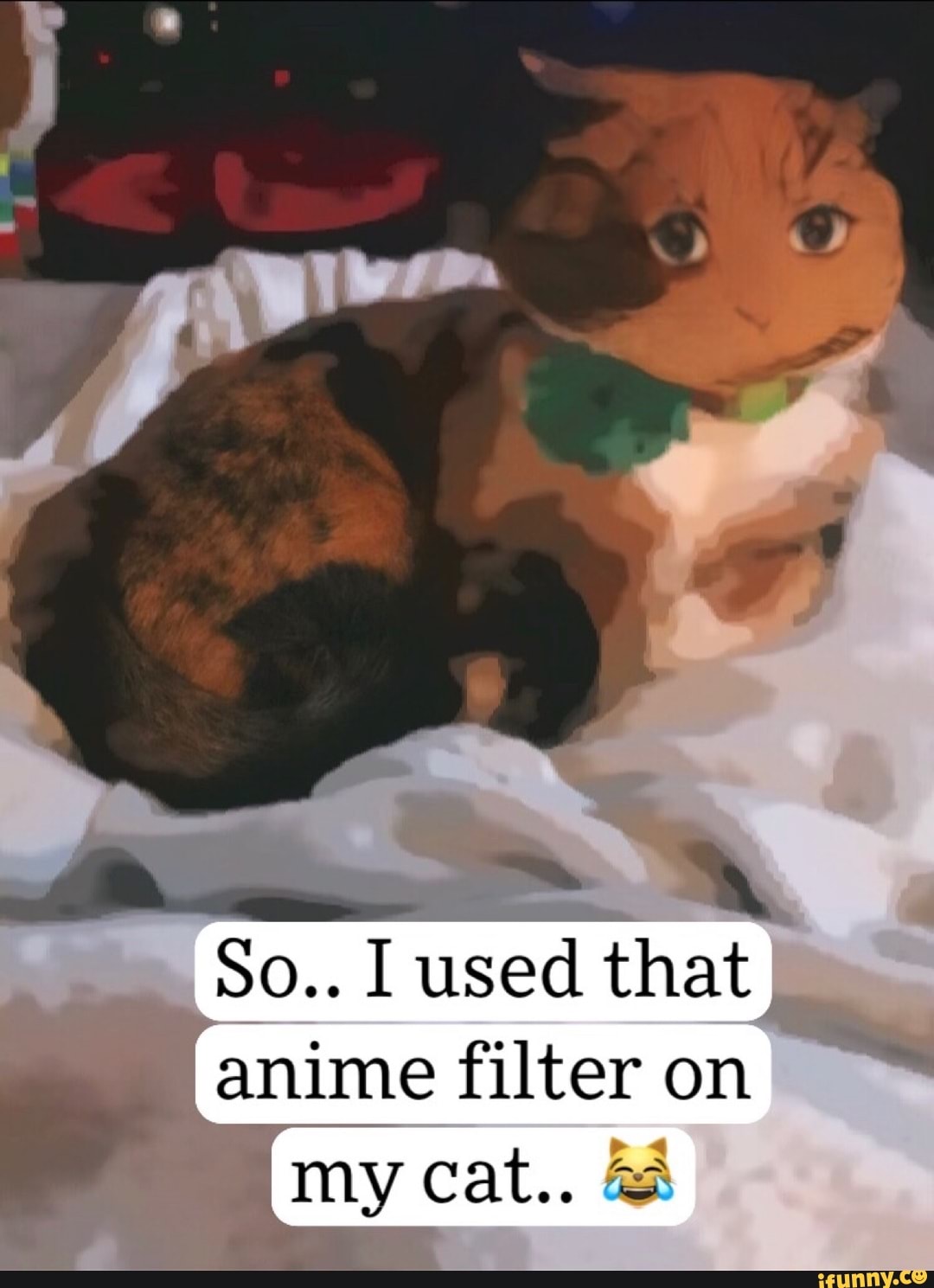 Anime Through My Filter