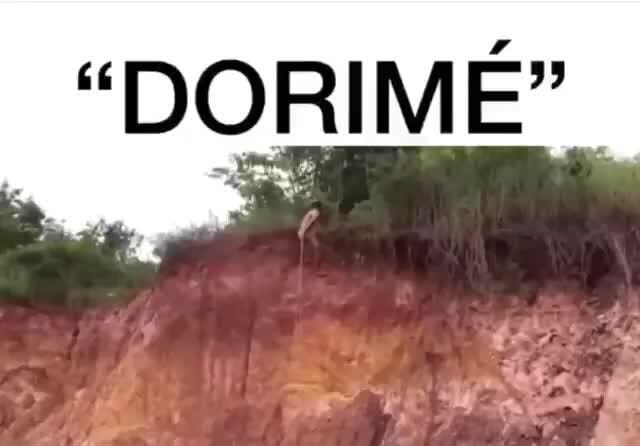 Dlorime memes. Best Collection of funny Dlorime pictures on iFunny