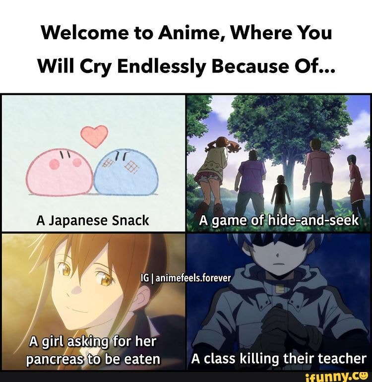 anime memes that will turn you Japanese 