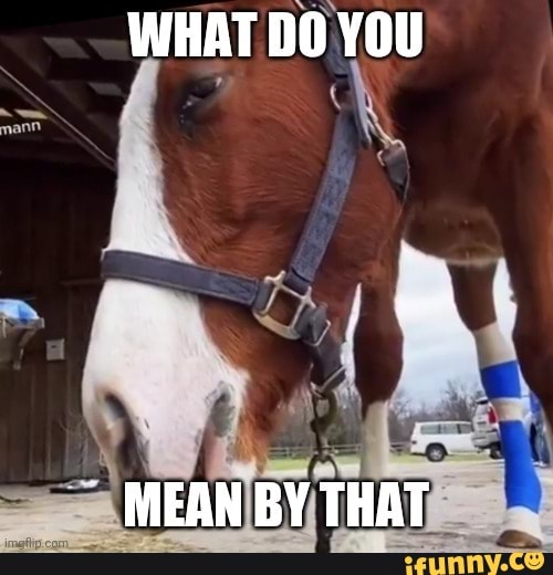 What Do You Mean by That Horse  