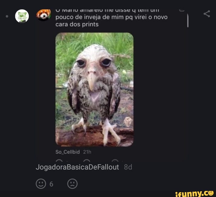 Screech memes. Best Collection of funny Screech pictures on iFunny Brazil