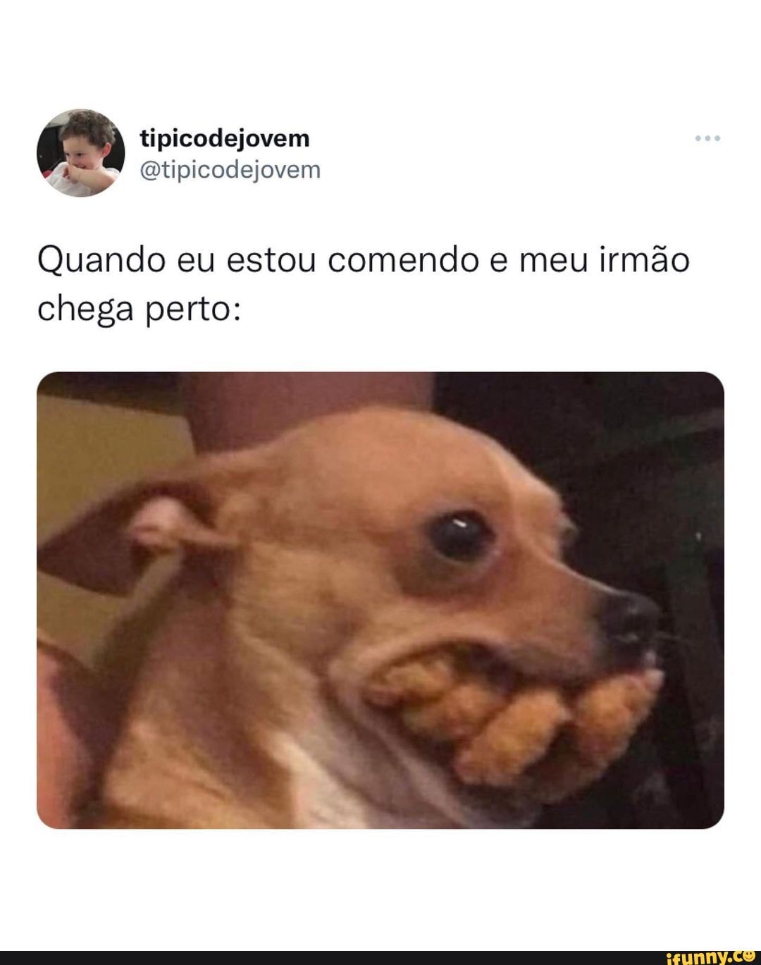 NÃO CHEGUE PERTO DESSE ANIMAL!