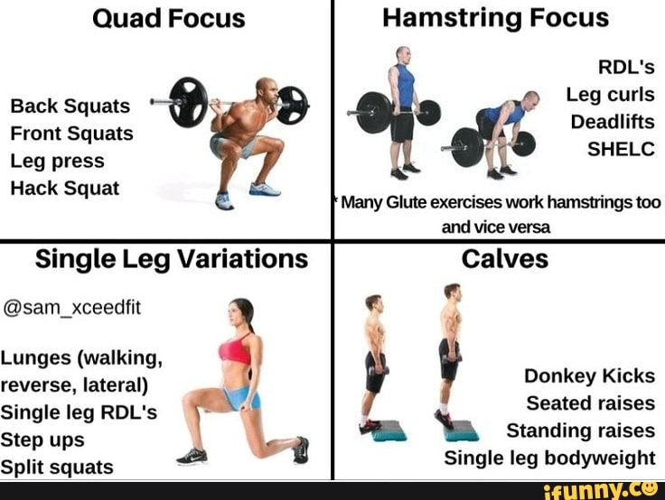 Quad Focus Hamstring Focus RDL's Back Front Squats Squats of Leg curls Deadlifts Deadlifts SHELC
