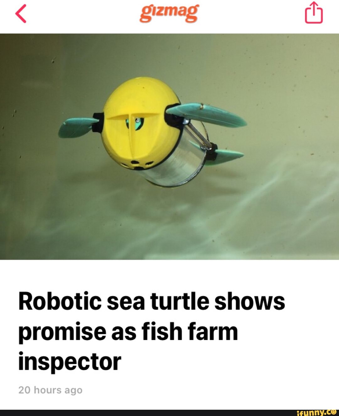 Gizmag Robotic sea turtle shows promise as fish farm inspector 20 hours ...