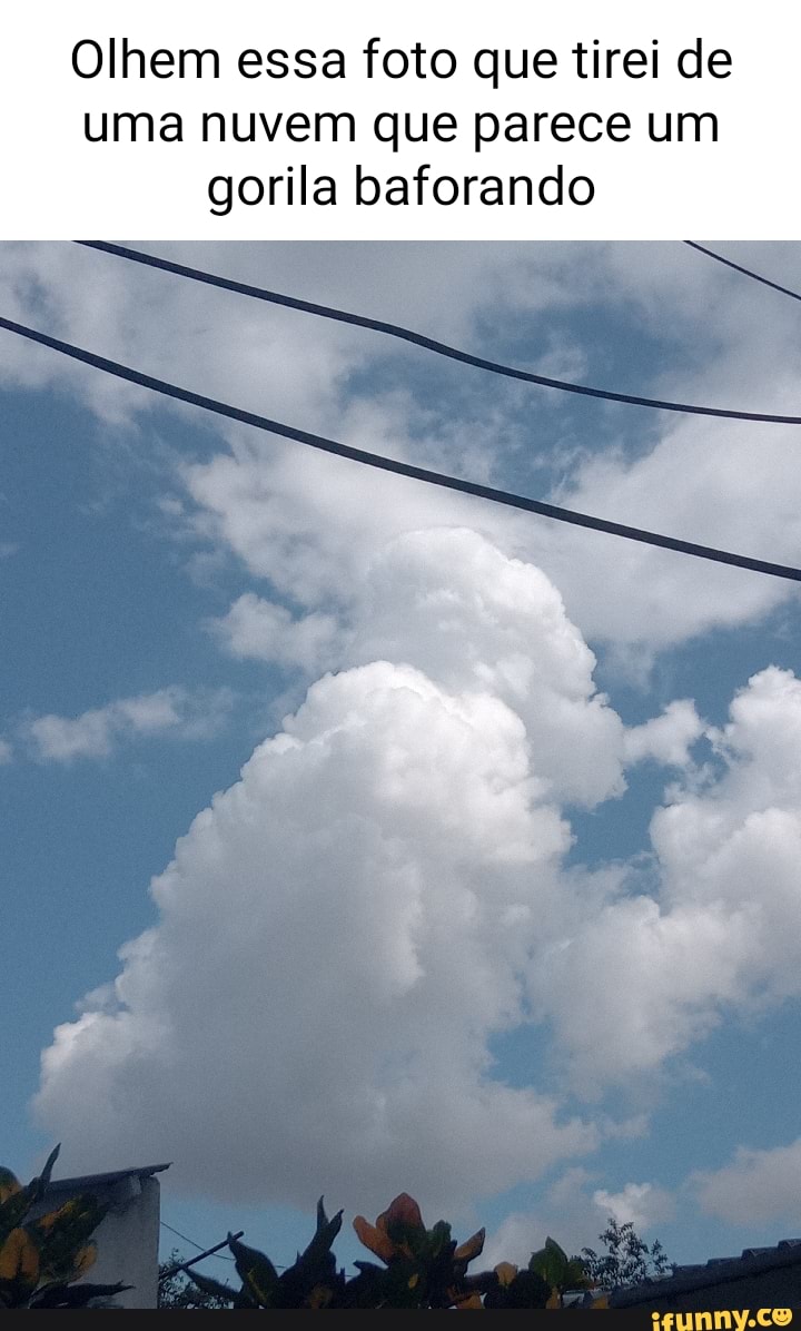 Olhem essa foto que tirei de uma nuvem que parece um gorila