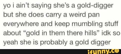 I ain't sayin I'm a gold digger…