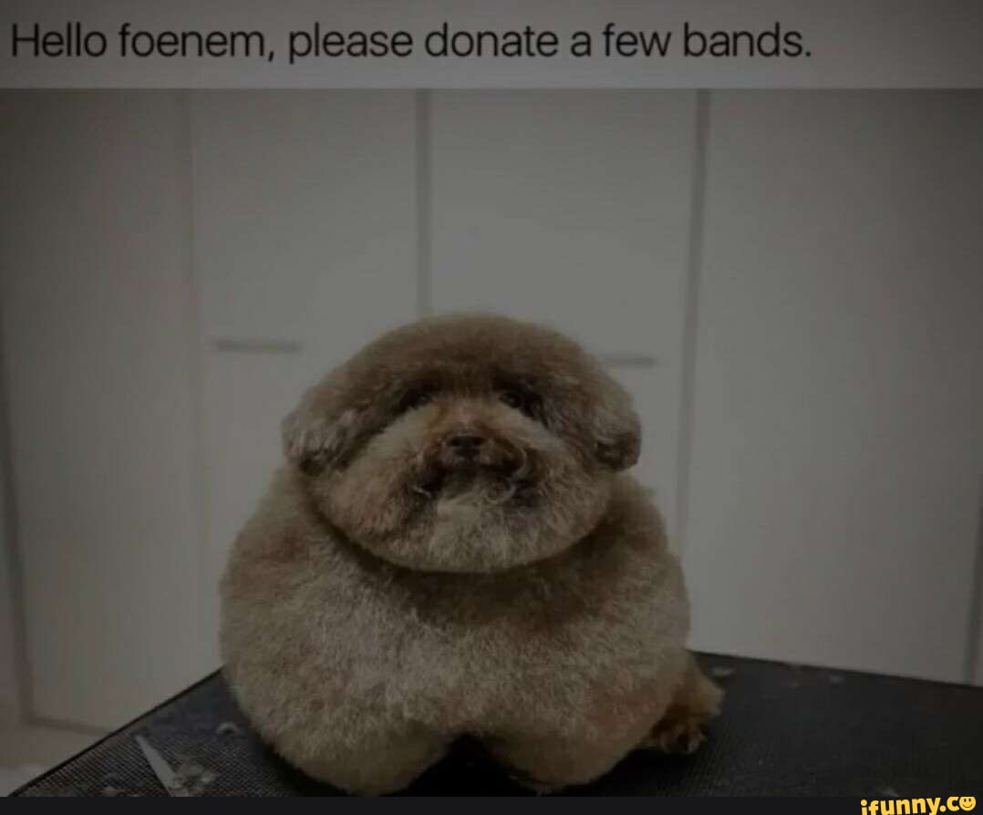 Hello foenem, please donate a few bands. - iFunny Brazil