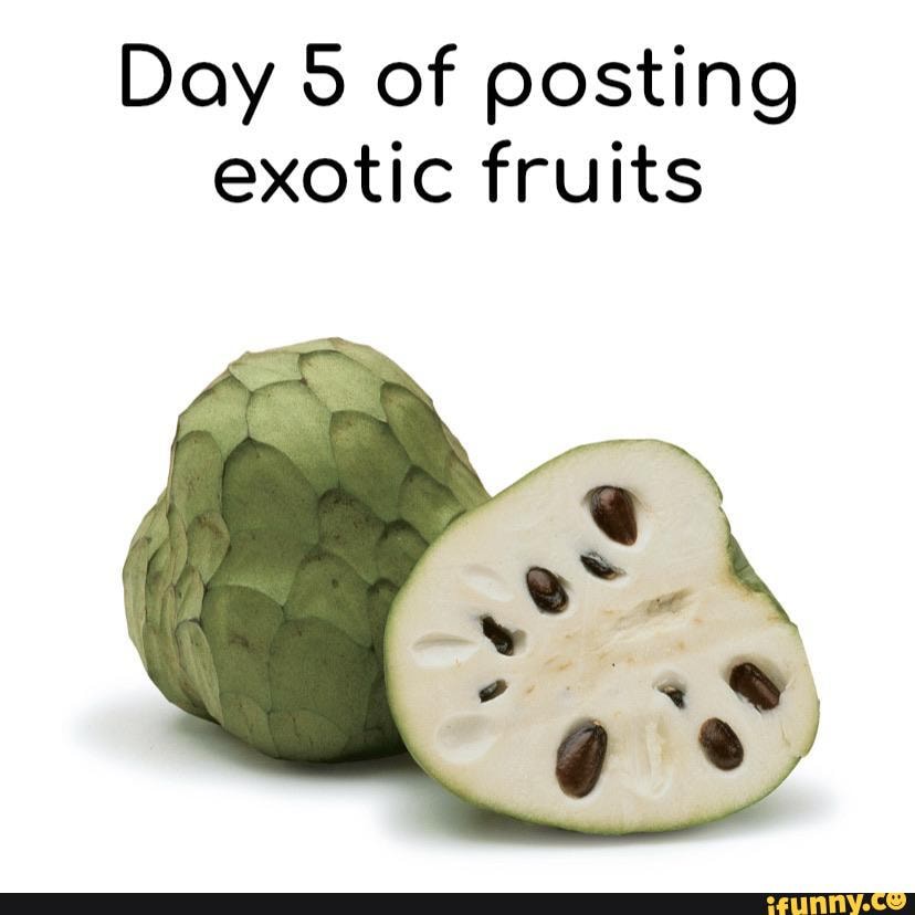 Fruits memes. Best Collection of funny Fruits pictures on iFunny