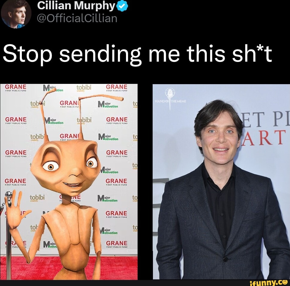 Cillian memes. Best Collection of funny Cillian pictures on iFunny Brazil