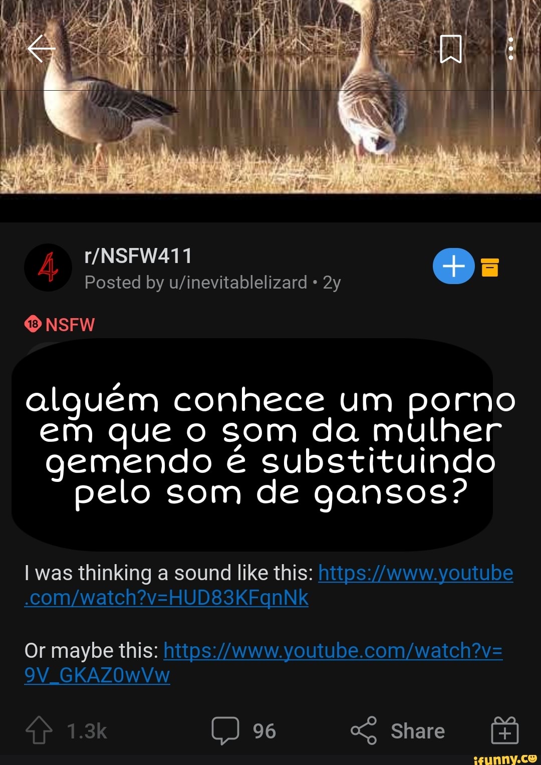 Posted by NSFW alguém conhece um porno em que o som da mulher gemendo é  substituindo pelo som de gansos? was thinking sound like this: vouiube 96  Or maybe this: GKAZOW -