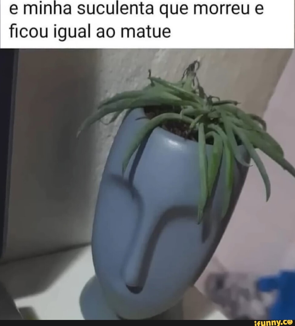 Morto memes. Best Collection of funny Morto pictures on iFunny Brazil