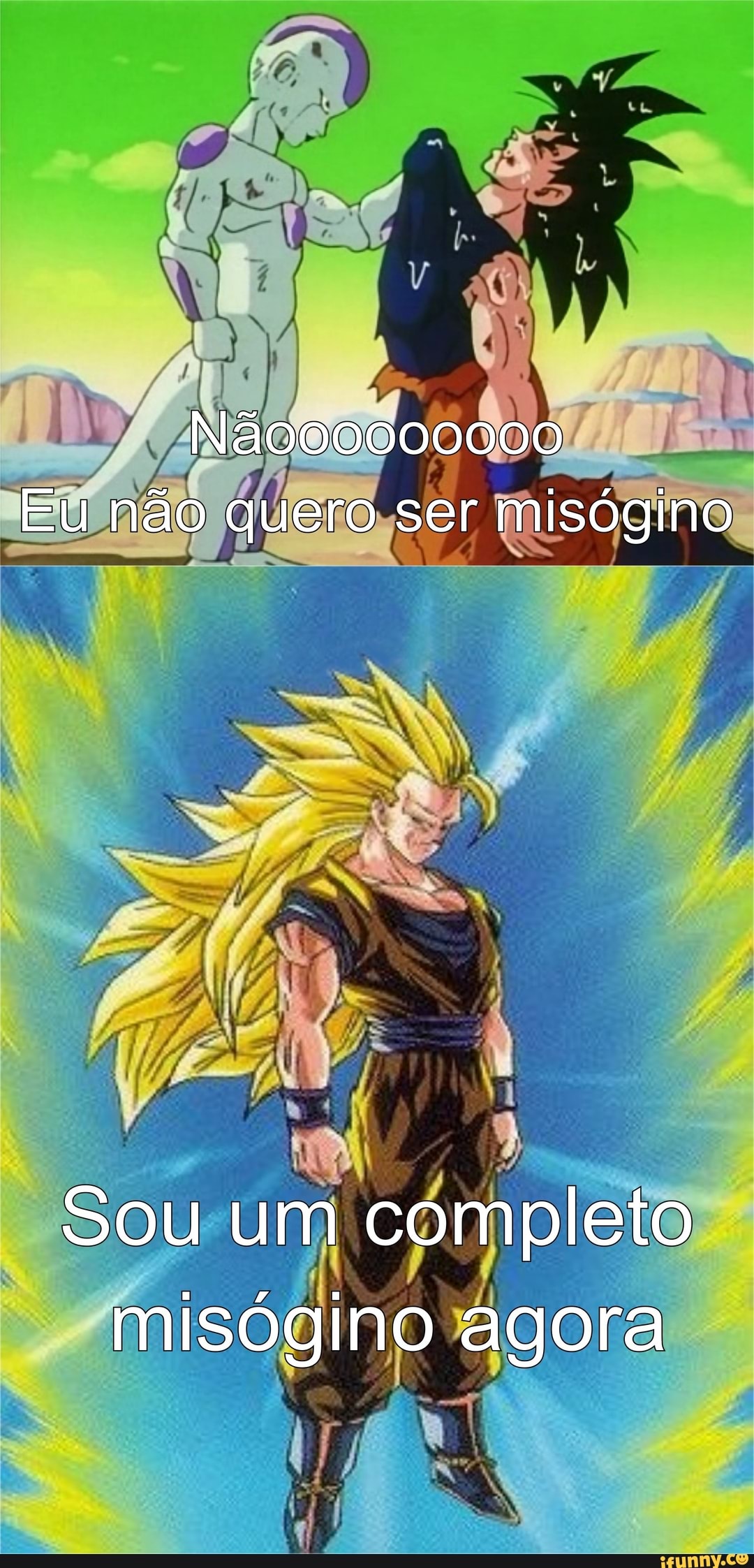 O NOME DO NOSSO FILHO NÃO PODE SER GOKU EU JÁ REGISTRELI.. - iFunny  Brazil