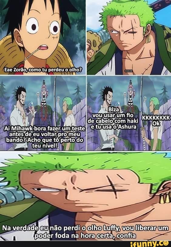 TENTE NÃO RIR 🤣 MEMES EM IMAGENS - Zoro sola até o frio 