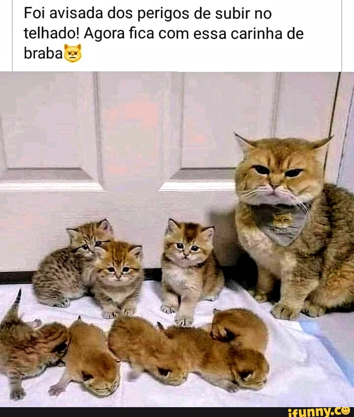 Subiro memes. Best Collection of funny Subiro pictures on iFunny Brazil