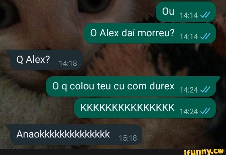 Ou O Alex Da Morreu Q Alex O Q Colou Teu Cu Com Durex Kkkkkkkkkkkkkkk Anaokkkkkkkkkkkkkk