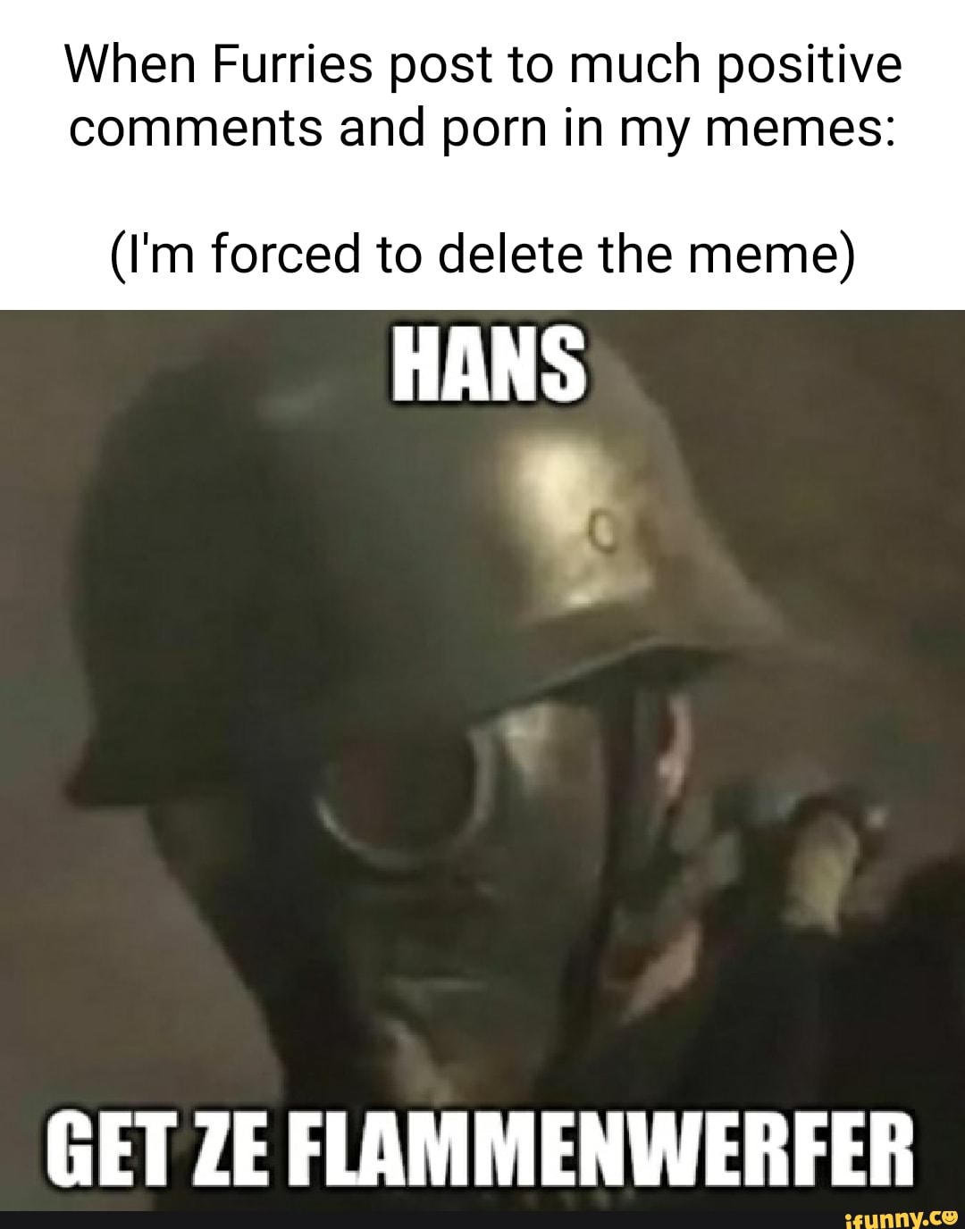 Forced Porn Meme - When Furries post to much positive comments and porn in my memes: (I'm  forced to delete the meme) HANS GET ZE FLAMMENWERFER - iFunny Brazil