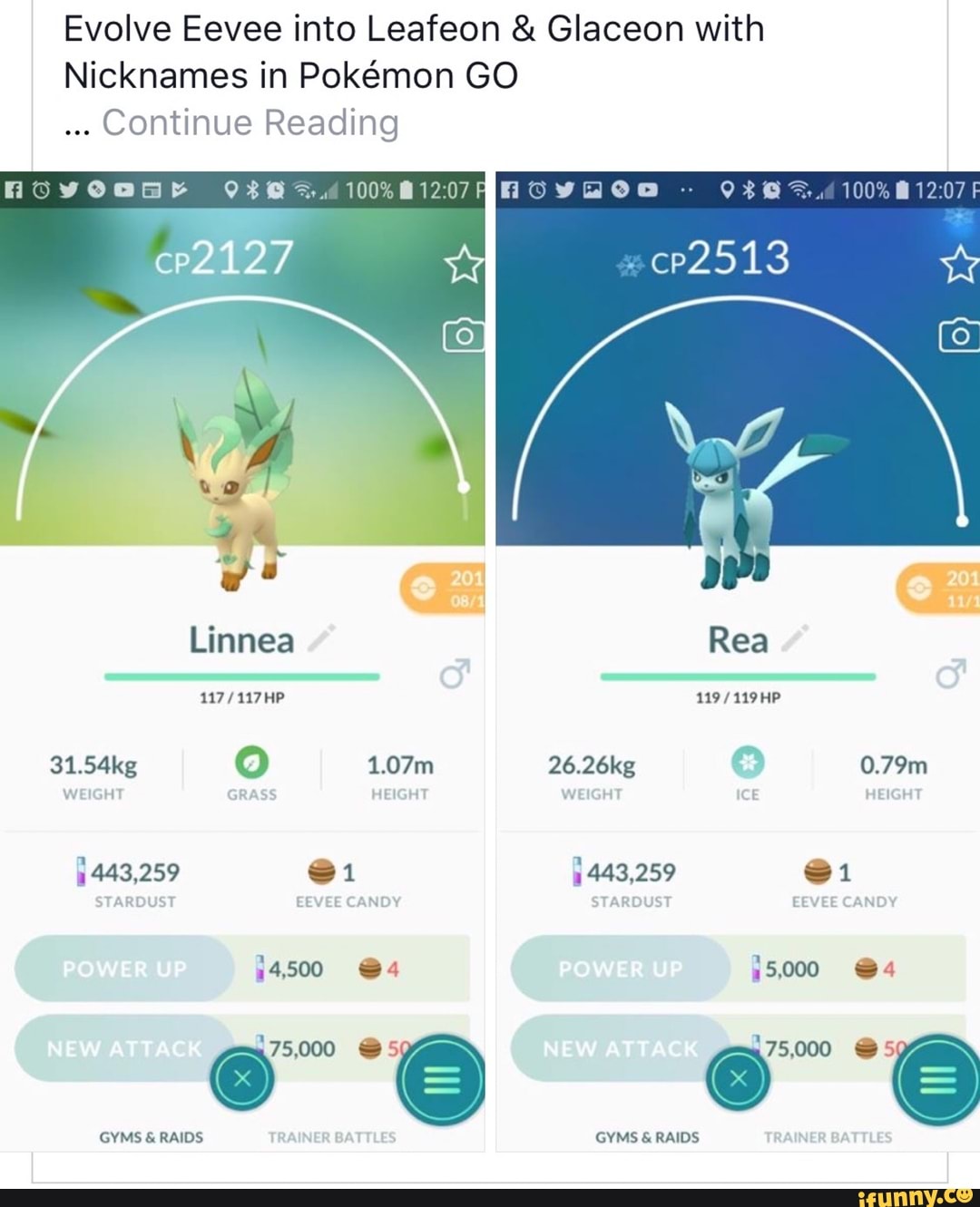 New nicknames discovered for Glaceon, Leafeon evolution in GO