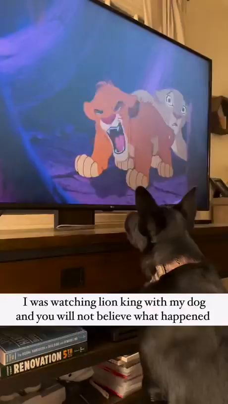 Dog watching 2024 lion king