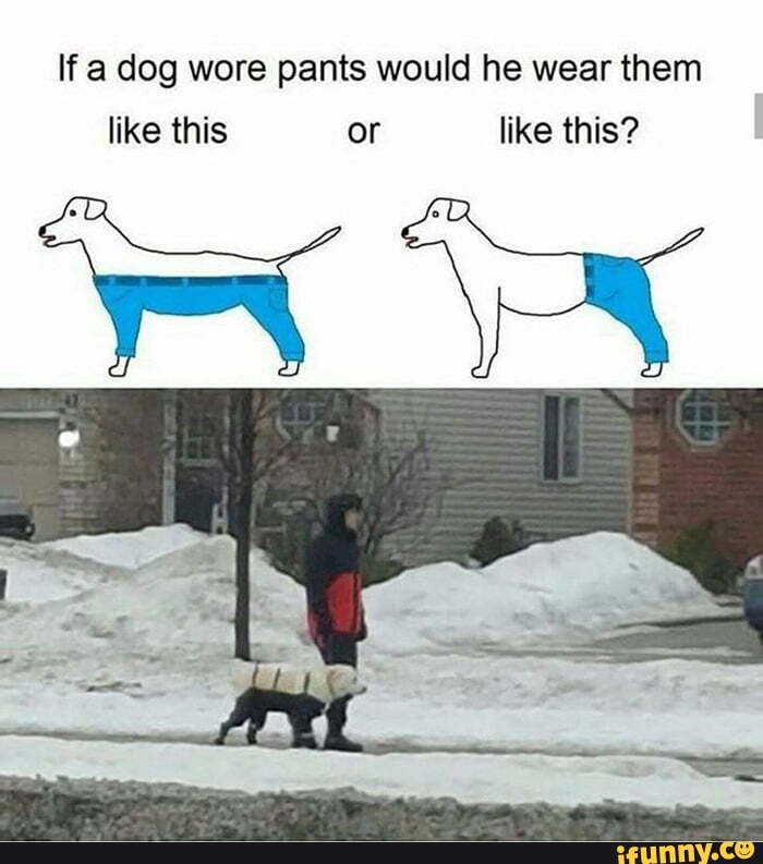 If pants wore pants, If a Dog Wore Pants