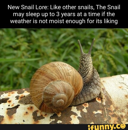 New Snail Lore: Like other snails, The Snail may sleep up to 3 years at ...