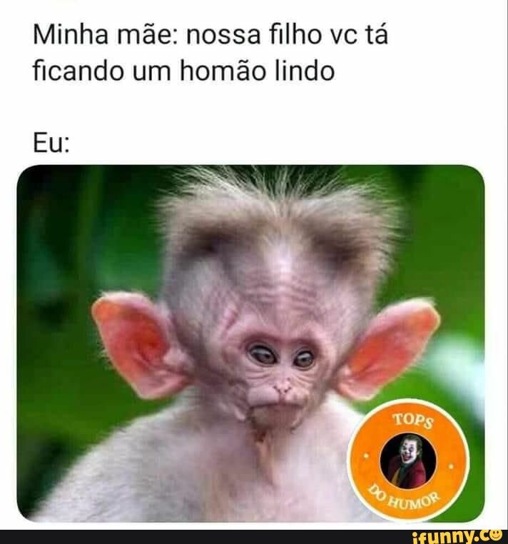 tenha calma meu filho 😰😨 Vc está imposivel #bichaomesmo #foryoupage