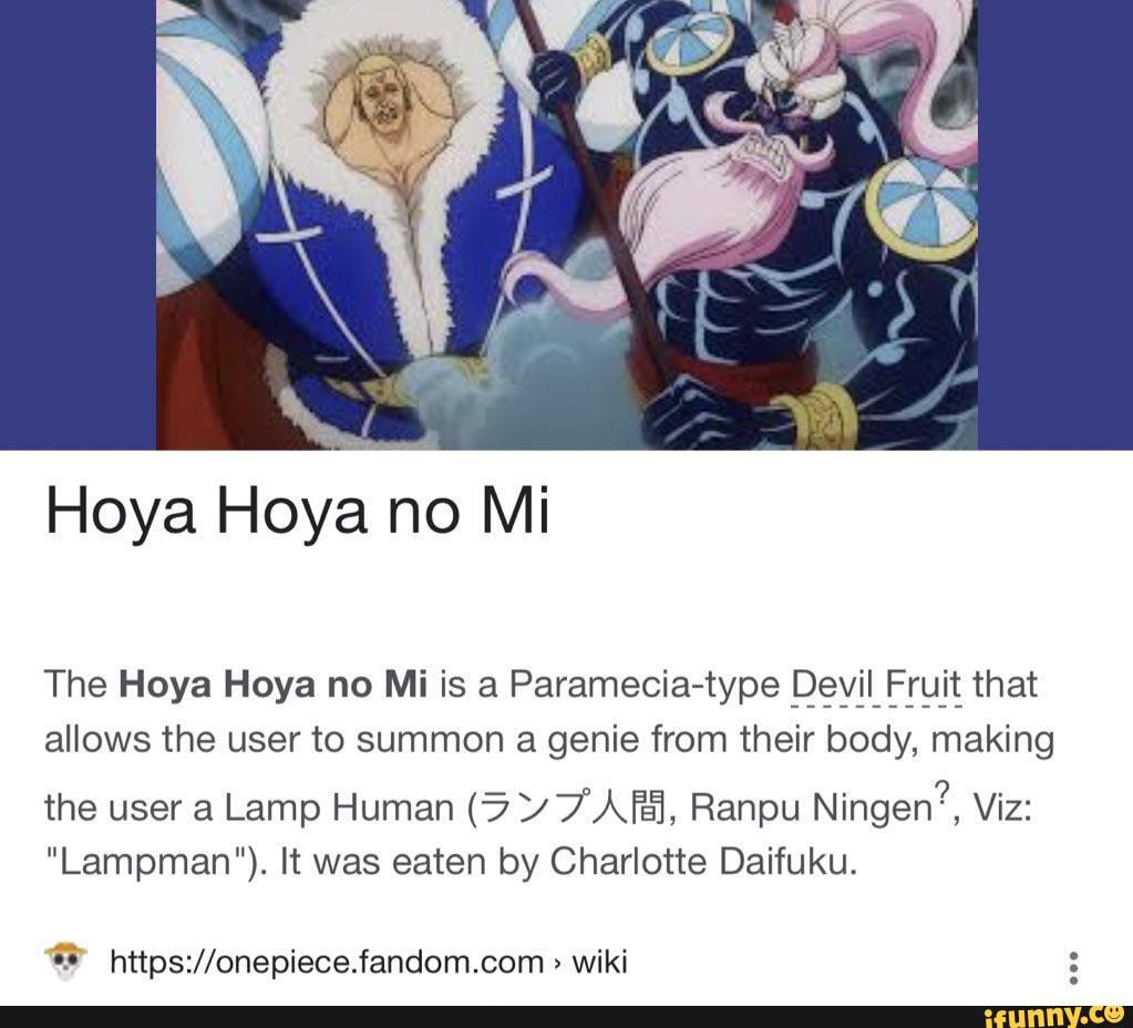 Hoya Hoya no Mi, One Piece Wiki
