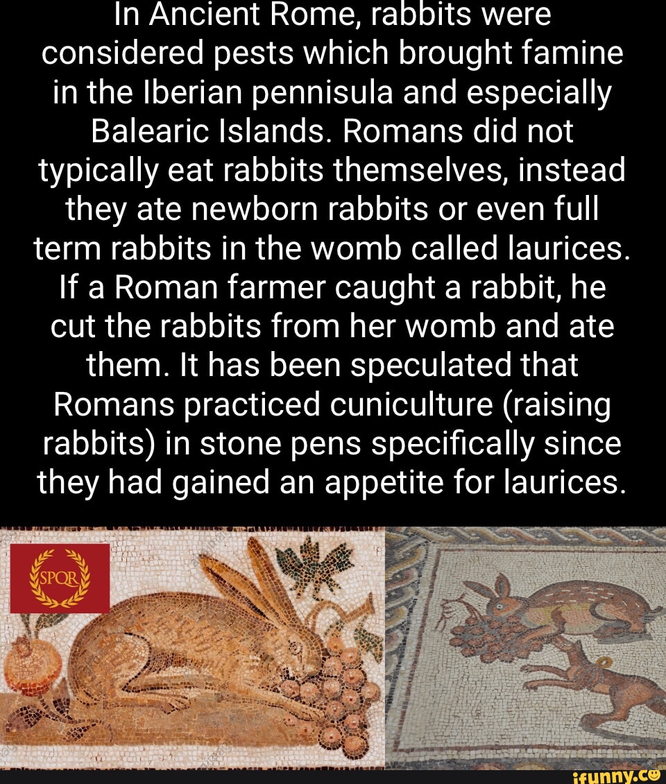 In Ancient Rome, rabbits were considered pests which brought famine in