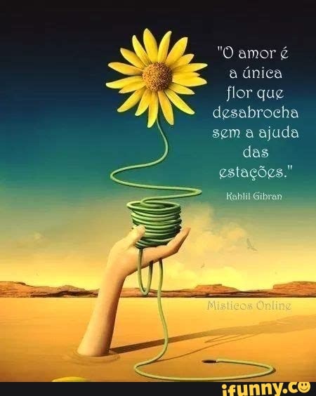 Amor flor que desabrocha sem a ajuda das estações. - iFunny Brazil