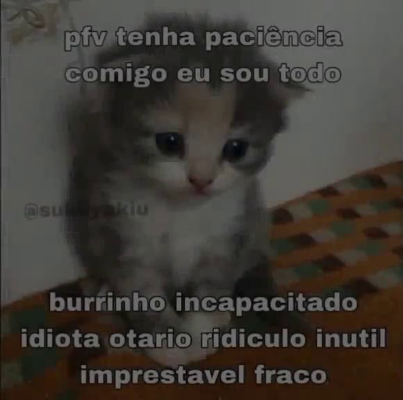 Imprestavel memes. Best Collection of funny Imprestavel pictures on iFunny  Brazil