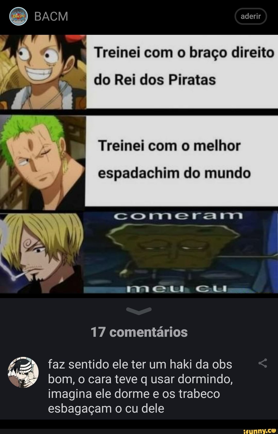 Treinei com o braço direito do Rei dos Piratas Treinei com o melhor  espadachim do mundo comerar - iFunny Brazil