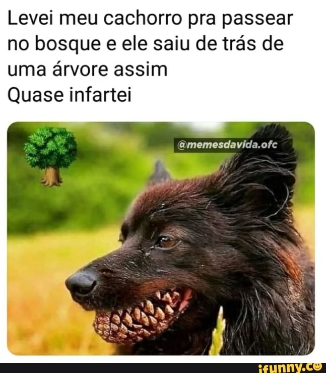 Quando eu estou morrendo na Fila do SUS e me lembro do meme do cachorro  Falando Intankavelo Bostil - iFunny Brazil