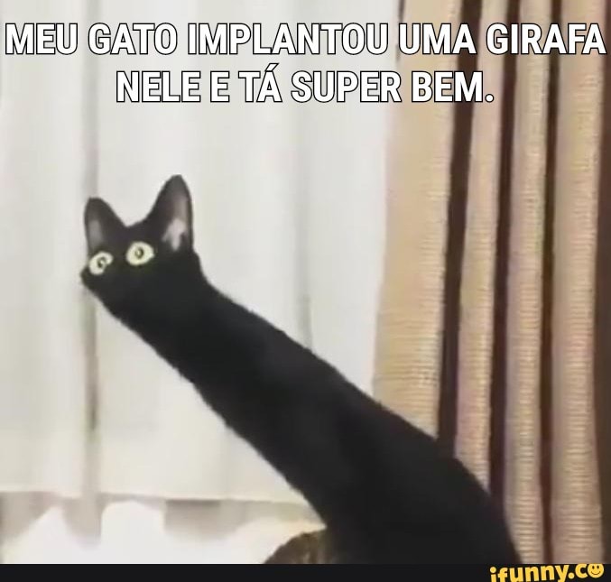 Superapp memes. Best Collection of funny Superapp pictures on iFunny Brazil