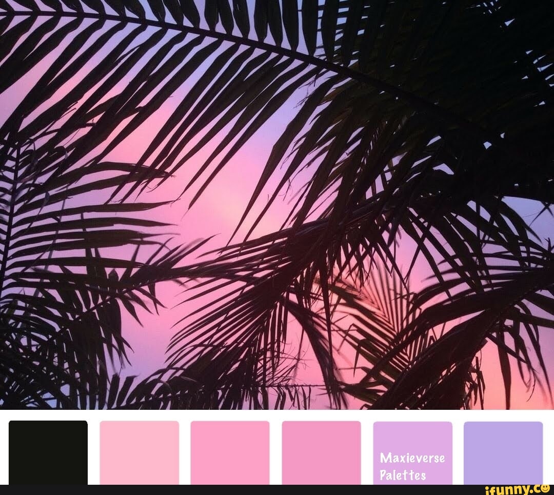 pink sunset Color Palette