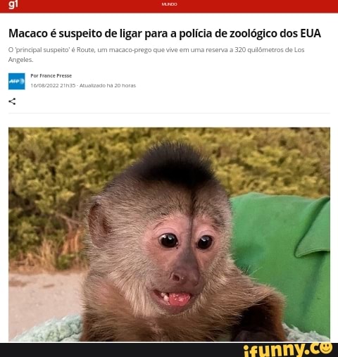 Macaco é suspeito de ligar para a polícia de zoológico - 17/08