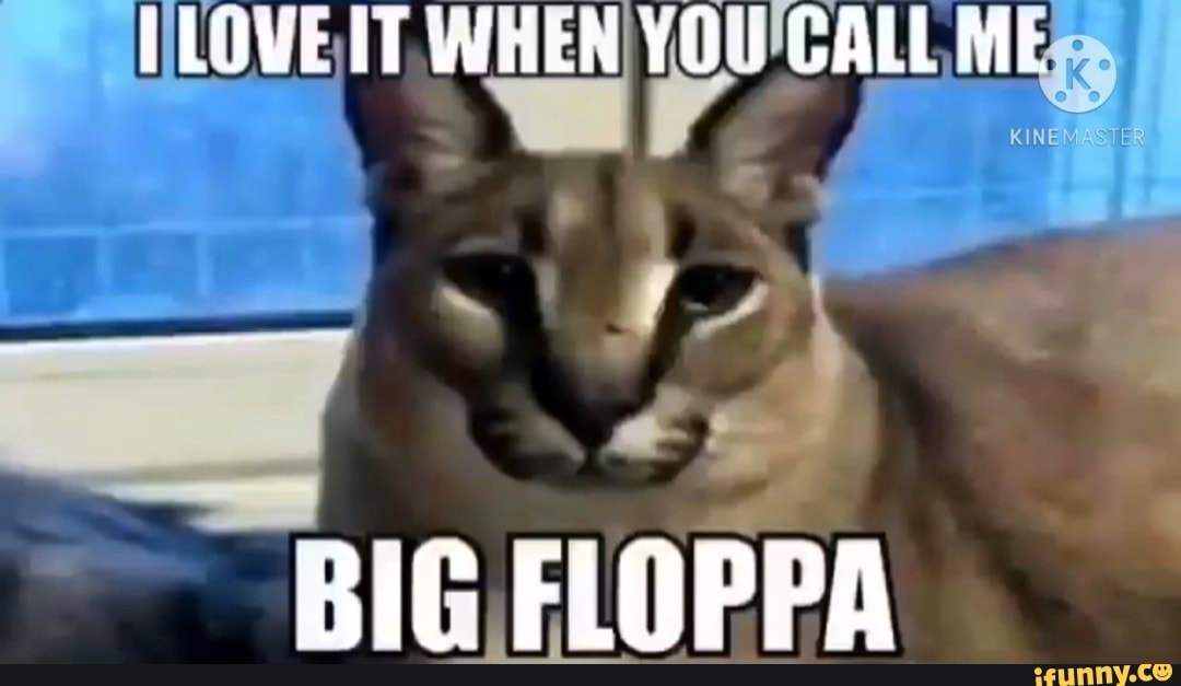 big floppa meme | Poster