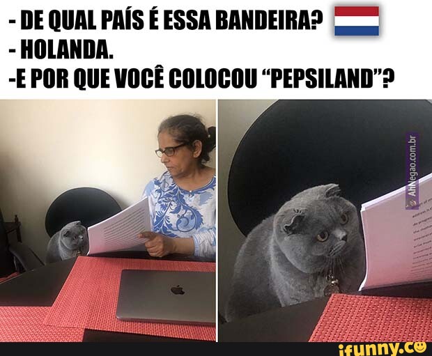 De qual país é essa bandeira 