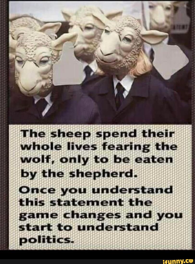 The sheep spend their whole lives fearing the wolf, only to be eaten by the  shepherd. Once you understand this statement the game changes and you start  to understand politics. - iFunny