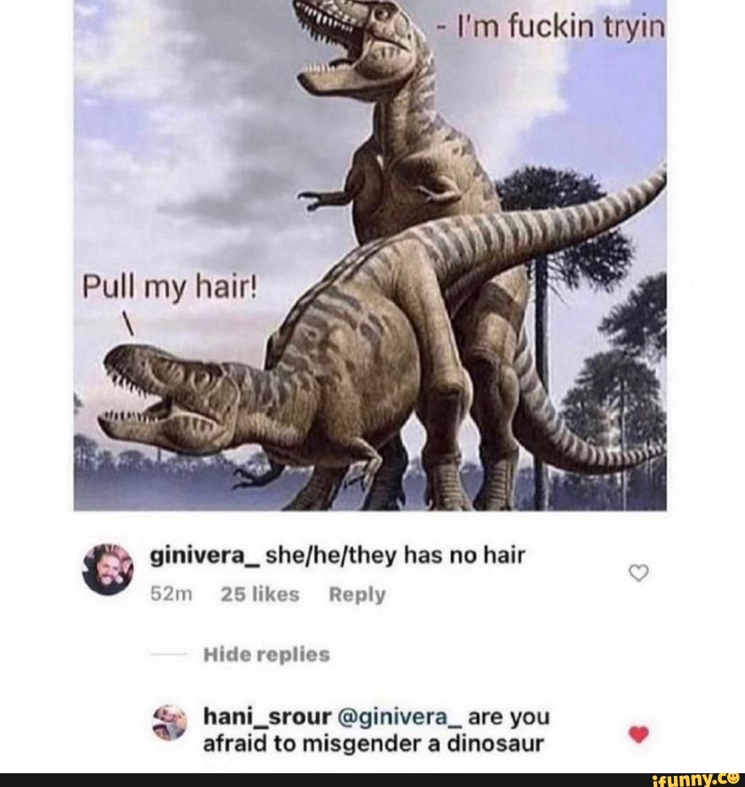 In tryin Pull my hair! ginivera_ sheshefthey has no hair Sam 25 likes Reply  Hide replies hani_srour @ginivera_ are you afraid to misgender a dinosaur -  iFunny Brazil