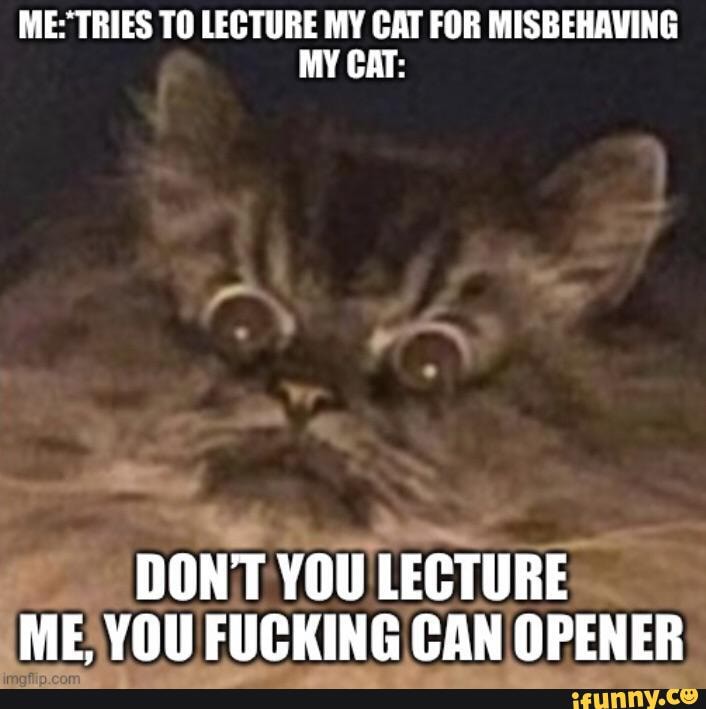 Canopener memes. Best Collection of funny Canopener pictures on iFunny