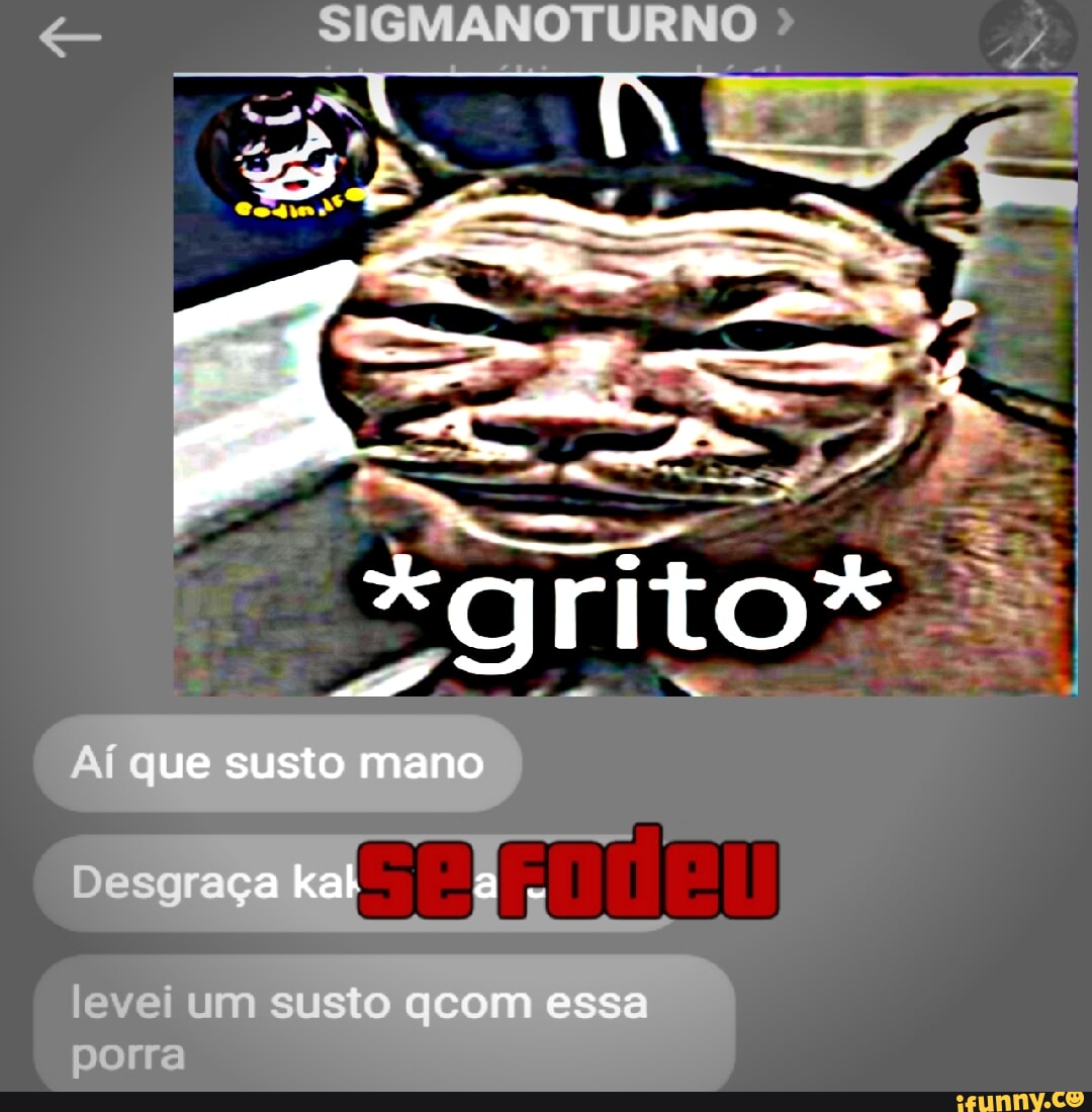 FODA-SE DESTAQUE RuiM DA DESGRAÇA O Zoro, SoLa - iFunny Brazil