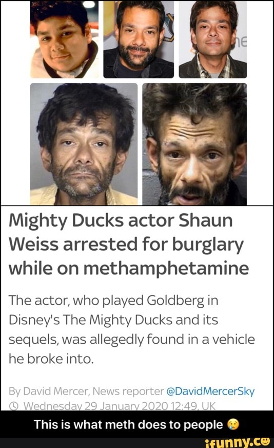Goldberg From 'The Mighty Ducks' Arrested For Burglary and Meth